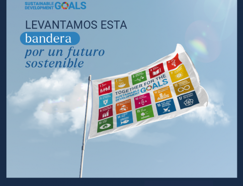 10º Aniversario de los Objetivos de Desarrollo Sostenible (ODS)